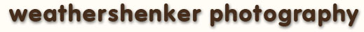 weathershenker photography logo